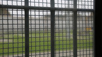 Salzuflerin von Schäferhunden in Bad Oeynhausen schwer verletzt